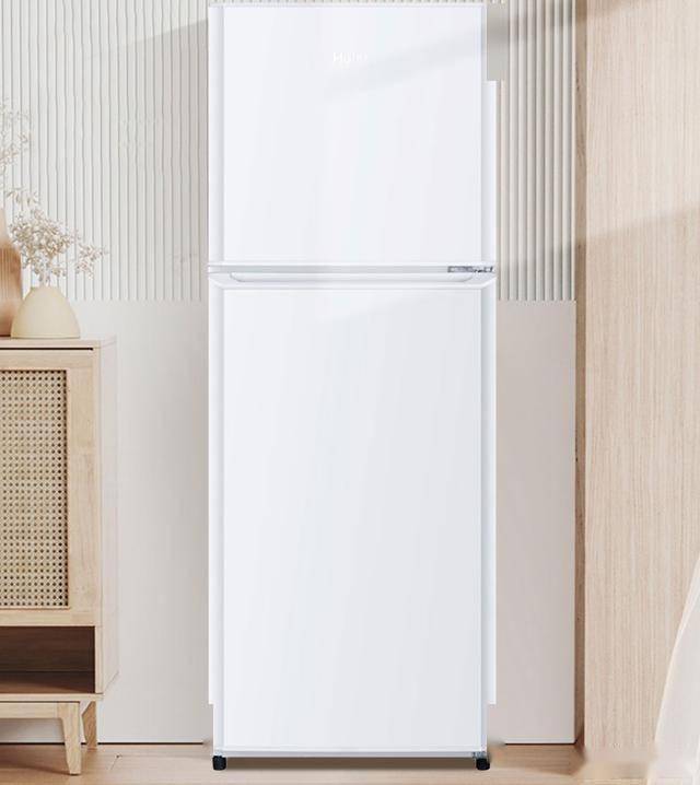 HTME0WT：849元145升双门节能冰箱m6米乐app节能新选择海尔BCD-145L(图3)
