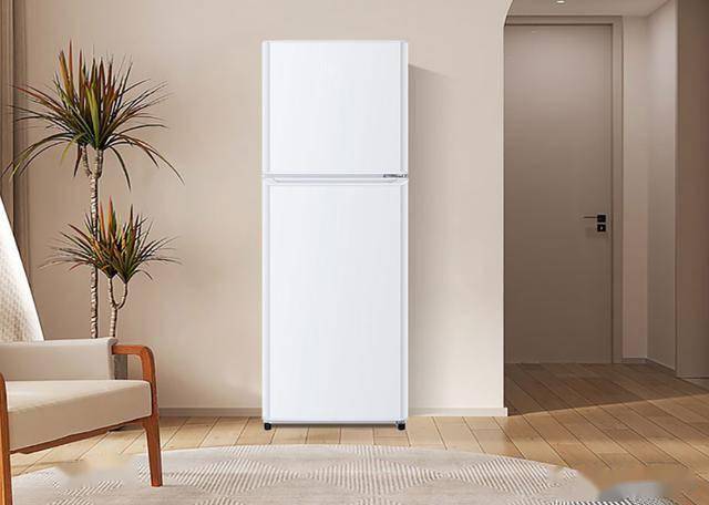 HTME0WT：849元145升双门节能冰箱m6米乐app节能新选择海尔BCD-145L(图4)